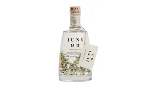 0.7L JUNI 93 DZIN LONDON DRY-STAND.-VAR.