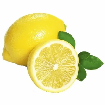 LIMUN