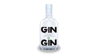 Gin Frog 0,7l